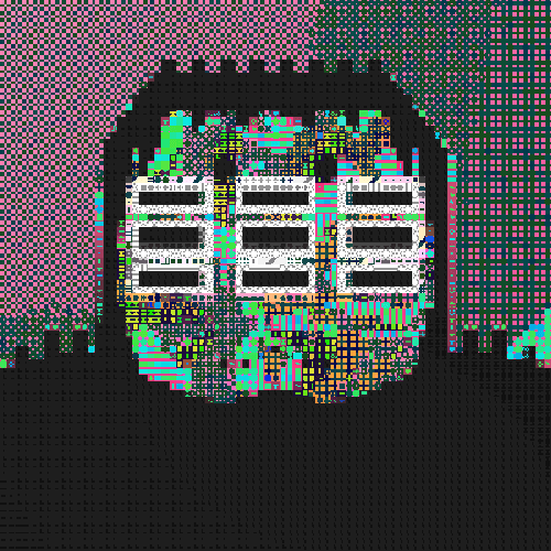 Archived image of Citizen #1828